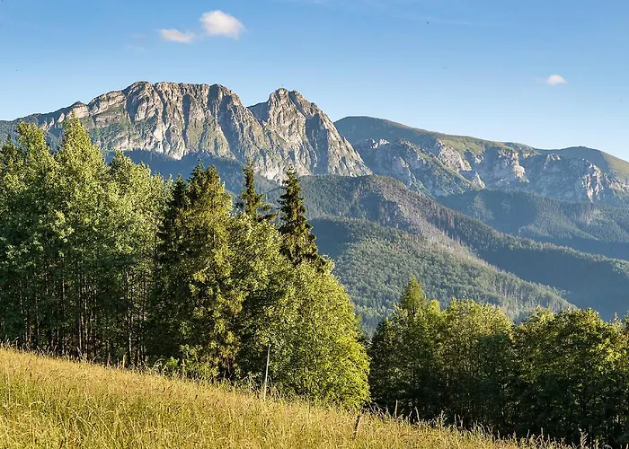 Smrekowa Polana & 4*